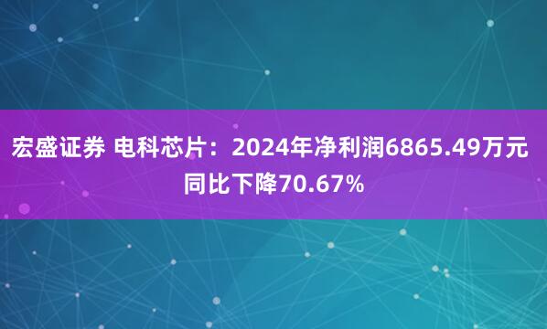 宏盛证券 电科芯片：2024年净利润6865.49万元 同比下降70.67%