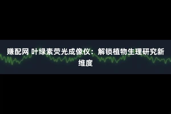 赚配网 叶绿素荧光成像仪：解锁植物生理研究新维度