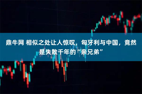 鼎牛网 相似之处让人惊叹，匈牙利与中国，竟然是失散千年的“亲兄弟”