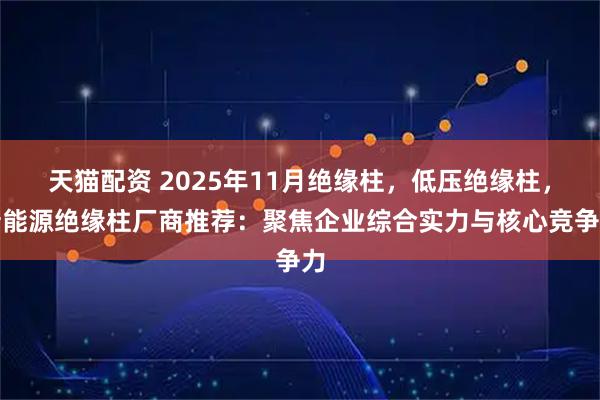 天猫配资 2025年11月绝缘柱，低压绝缘柱，新能源绝缘柱厂商推荐：聚焦企业综合实力与核心竞争力