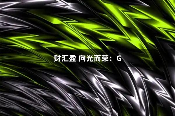 财汇盈 向光而荣：G